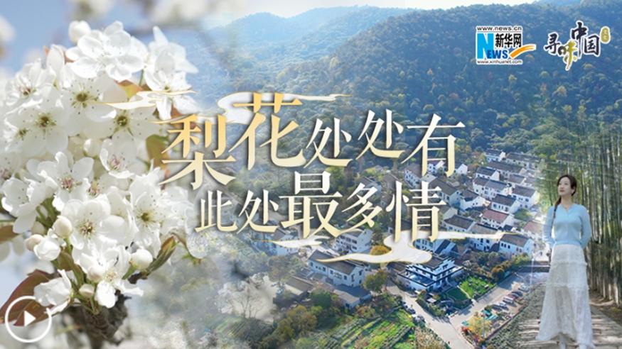 梨花處處有，此處最多情