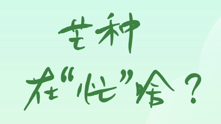 芒種在&ldquo;忙&rdquo;啥？