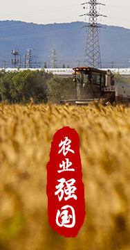 農業(yè)強國是社會(huì )主義現代化強國的根基。