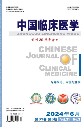 《中國臨床醫學(xué)》