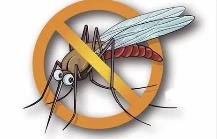 夏季，常見(jiàn)蚊蟲(chóng)如何應對
