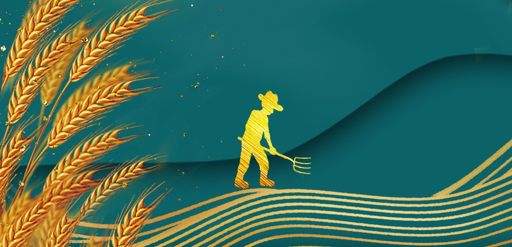 農耕智慧的產(chǎn)物&mdash;&mdash;梯田