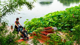 告別大拆大建，老城煥發(fā)新生&mdash;&mdash;北京老城正在發(fā)生的變遷