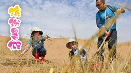 &ldquo;雙減&rdquo;后的第一個(gè)暑假，小朋友們是怎么度過(guò)的？