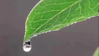 在中國古詩(shī)詞里，尋找北京冬奧的&ldquo;節氣密碼&rdquo;