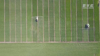 如何讓假劣化肥不再坑農害農？