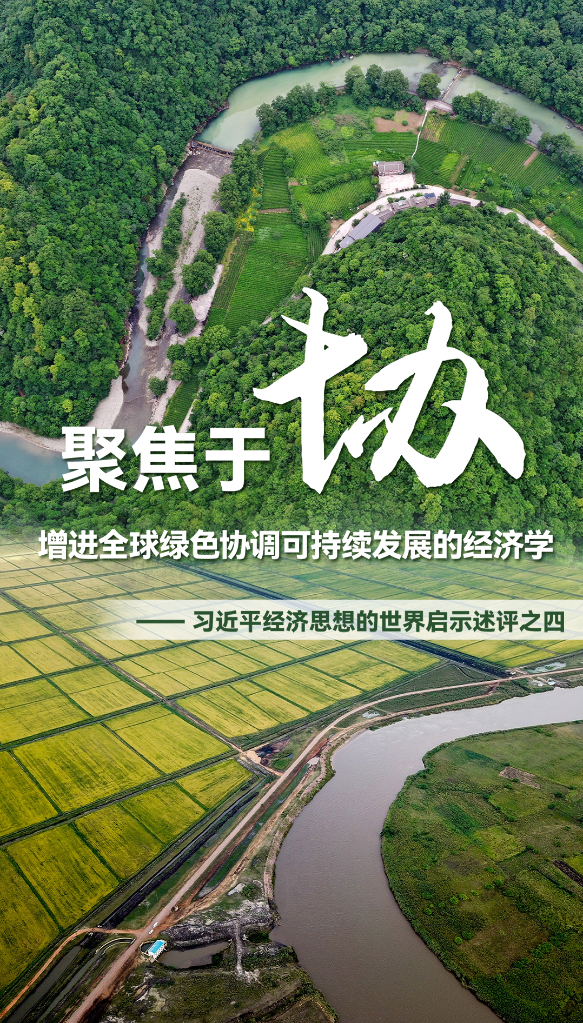 聚焦于&ldquo;協(xié)&rdquo;，增進(jìn)全球綠色協(xié)調可持續發(fā)展的經(jīng)濟學(xué)