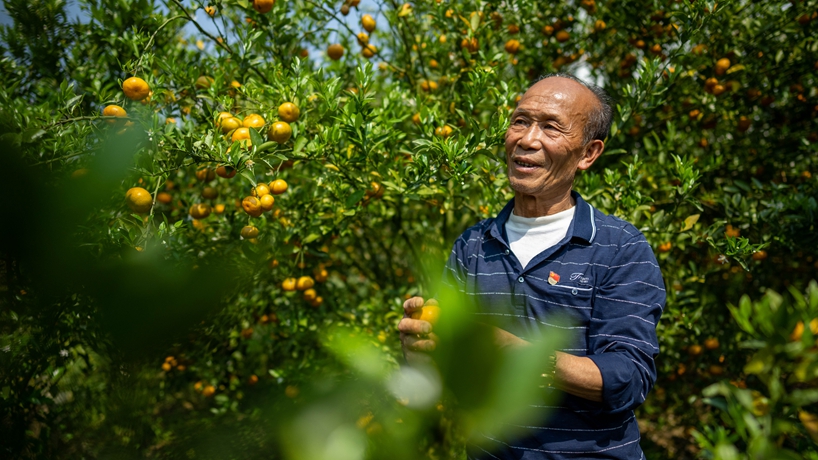 戰山斗山，一代又一代&ldquo;石漠愚公&rdquo;書(shū)寫(xiě)傳奇