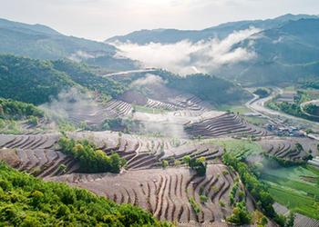 陜西略陽(yáng):梯田如畫(huà)
