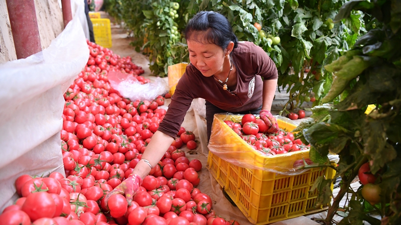 春天里，我們一起譜寫(xiě)振興新歌