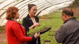 青春，在一線(xiàn)綻放芳華&mdash;&mdash;&ldquo;最美基層高校畢業(yè)生&rdquo;速寫(xiě)