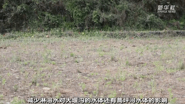 曾經(jīng)被&ldquo;遺棄&rdquo;的它們 搬到新家啦！