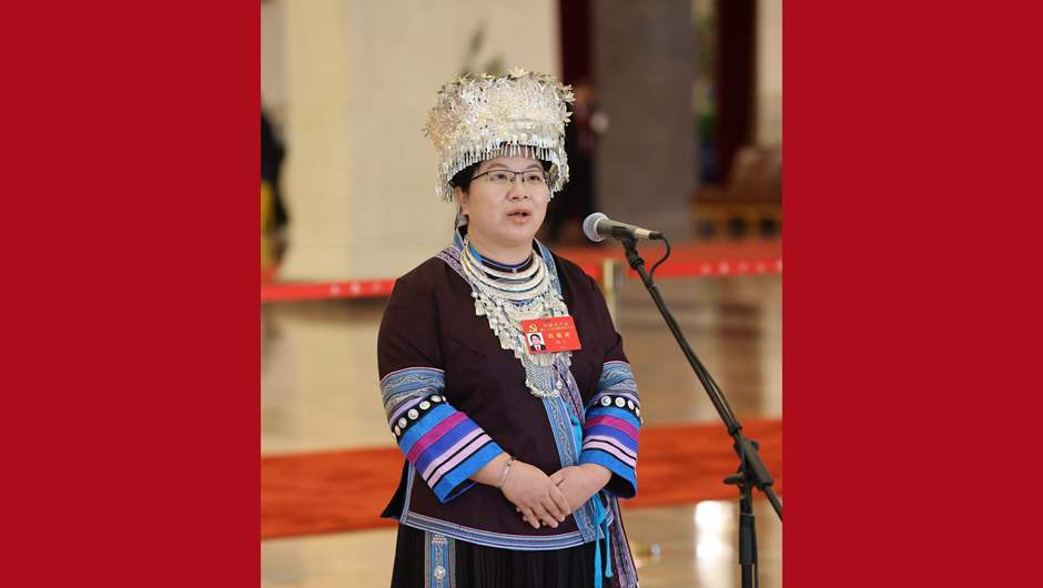 楊寧代表接受采訪(fǎng)