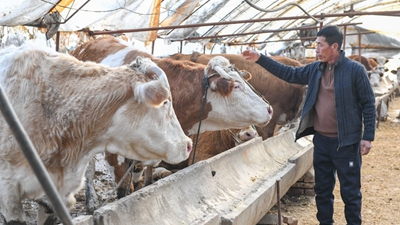 吉林：金融活水流向田間地頭、工廠(chǎng)車(chē)間