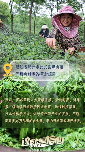 這就是信心丨應季收獲忙！看田間地頭上的增收新路子