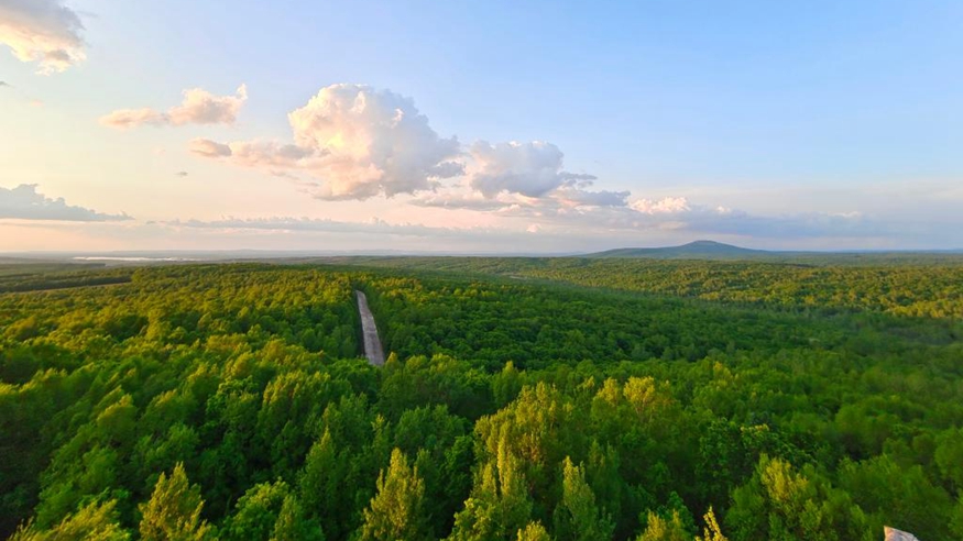 小興安嶺林海撐開(kāi)&ldquo;致富傘&rdquo;
