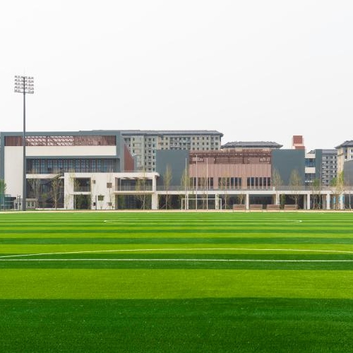 瓣瓣同心向陽(yáng)開(kāi) 公共服務(wù)攜手辦&mdash;&mdash;京津支持雄安新區建設觀(guān)察