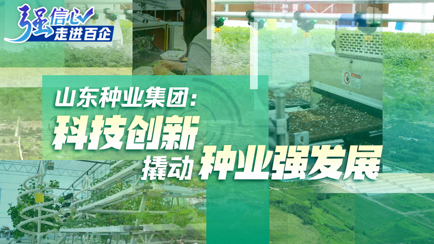 山東種業(yè)集團：科技創(chuàng  )新撬動(dòng)種業(yè)強發(fā)展
