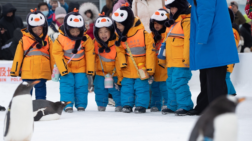 開(kāi)年旺！這樣熱氣騰騰的生活真帶勁