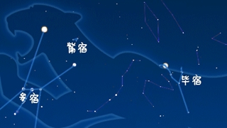 虎年來(lái)了，抬頭尋找天上的&ldquo;白虎&rdquo;
