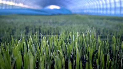 端牢&ldquo;中國飯碗&rdquo;，&ldquo;北大倉&rdquo;想這么干