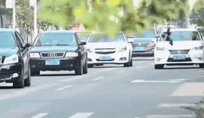 中法兩國駕駛證實(shí)現免試互認換領(lǐng)