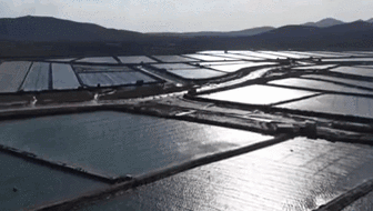 寒潮來(lái)襲&middot;山東：降溫影響水產(chǎn)養殖 沿海各地積極應對