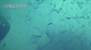 8919米！我國科學(xué)家首次探底雅浦海溝 成功采集深淵樣本