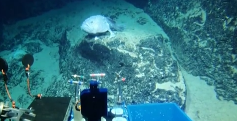 創(chuàng  )新源動(dòng)力：我國深?？瓶歼M(jìn)入萬(wàn)米時(shí)代