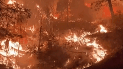 美國：&ldquo;卡爾多&rdquo;山火肆虐 兩州進(jìn)入緊急狀態(tài)