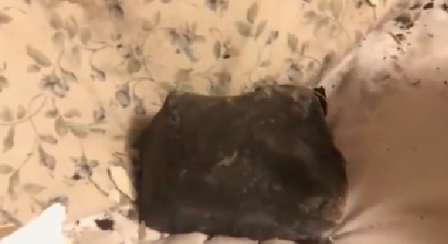 意外！人在家中睡 隕石天上來(lái)