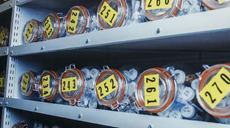 探訪(fǎng)英國的千年種子庫