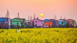 油菜花里望豐稔&mdash;&mdash;我國部分油菜主產(chǎn)區擴大種植促進(jìn)增收觀(guān)察