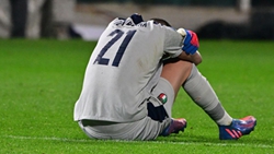 哪些隊伍缺席卡塔爾世界杯讓你感到遺憾？