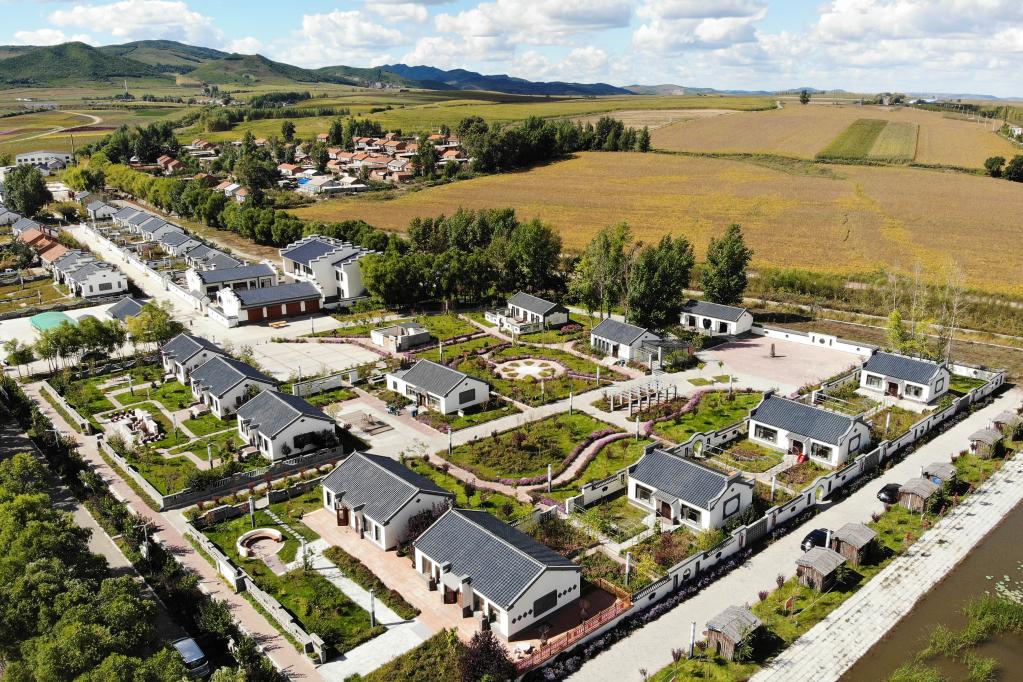 新華全媒+|黑龍江勃利:寒地中草藥產(chǎn)業(yè)助力鄉村振興