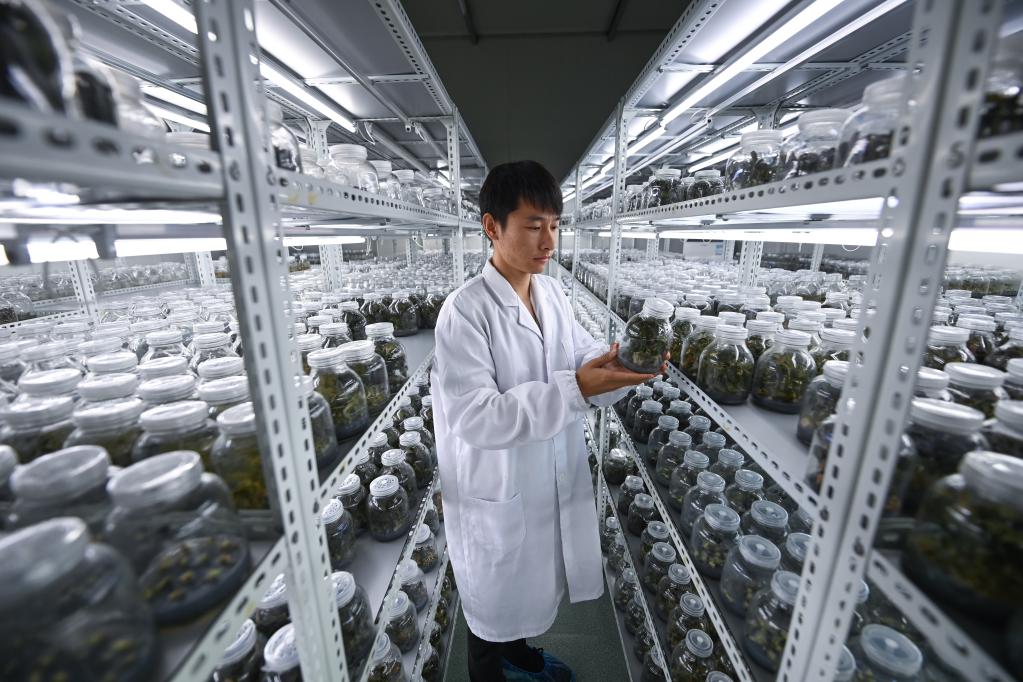 浙江臨安：&ldquo;農創(chuàng  )客&rdquo;助力農業(yè)現代化