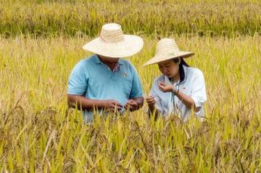 新華全媒+&middot;二十大代表在基層丨利遠遠：當好鄉村振興&ldquo;領(lǐng)頭雁&rdquo;